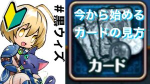 黒ウィズ初心者講座＃1 カード（精霊）の見方