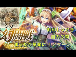 【黒猫のウィズ】幻闘戦 VSシガ　刻印Lv29  １２ターン《自力３問》
