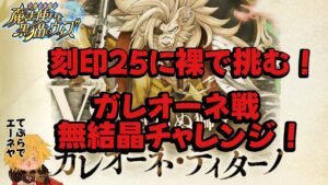 【黒猫のウィズ】幻闘戦 ガレオーネ戦刻印25 無結晶チャレンジ！ #黒ウィズ #攻略