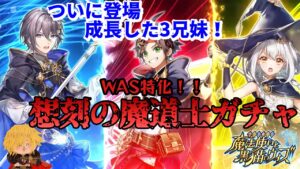【黒猫のウィズ】WAS特化！想刻の魔道士ガチャで時代の波に乗れ⁈ #黒ウィズ #ガチャ