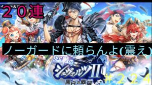 「黒猫ウィズ」この空(ガチャ)は俺の物さ！空戦のシュバルツ2黒白の戦翼ガチャ#224