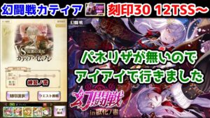 【🦋幻闘戦】カティア 刻印30 12TSS～ パネリザが無いのでアイアイで行きました【黒猫のウィズ 幻闘戦 in 獣化ノ書】