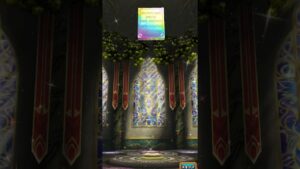 『黒猫のウィズ』約6年振りの黒猫！！