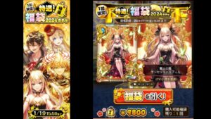 【黒猫のウィズ】2024年特選福袋【開封動画】